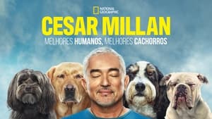 Cesar Millan: Jó gazdi, jó kutya kép