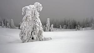 Winter am Alpenrand háttérkép