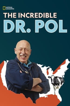 Dr. Pol állatklinikája poszter