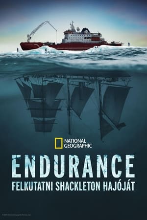 Endurance: Felkutatni Shackleton hajóját