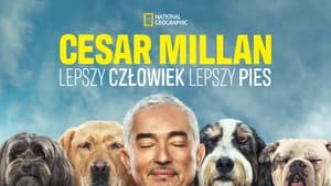 Cesar Millan: Jó gazdi, jó kutya kép