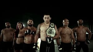 UFC 198: Werdum vs. Miocic háttérkép