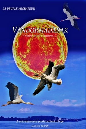 Vándormadarak