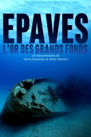 Épaves, l'or des grands fonds