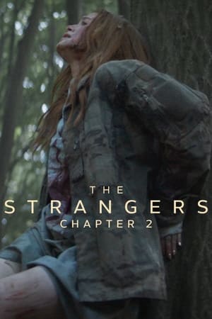 The Strangers: Chapter 2 poszter