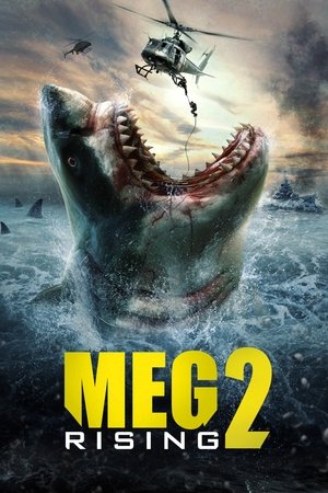 Megalodon: The Frenzy poszter