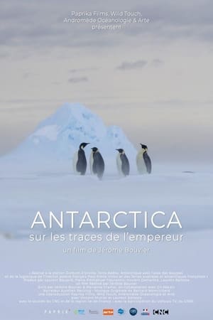 Antarctica, sur les traces de l'empereur poszter