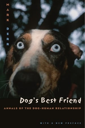 Dog's Best Friend poszter