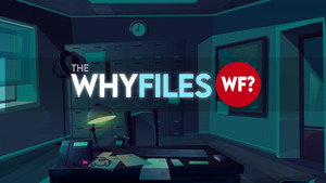 The Why Files kép