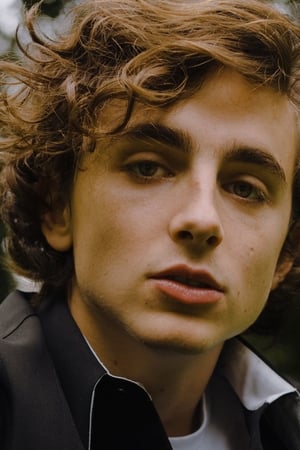 Timothée Chalamet profil kép