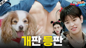 스키즈 코드 4. évad Ep.21 21. epizód
