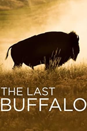 The Last Buffalo poszter