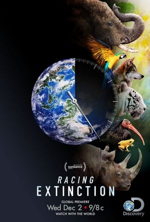 Racing Extinction - A kihalás kora