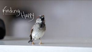Finding Happy háttérkép
