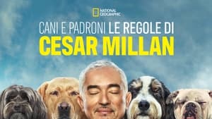 Cesar Millan: Jó gazdi, jó kutya kép