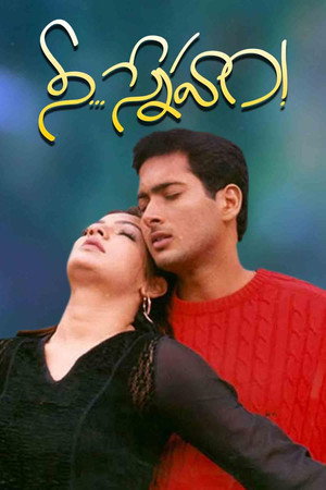 నీ... స్నేహం! poszter