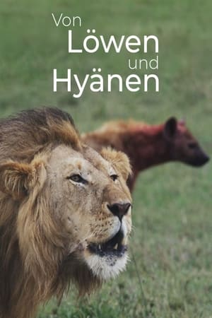 Lions and Hyenas: Owners of Death, Guardians of Life poszter