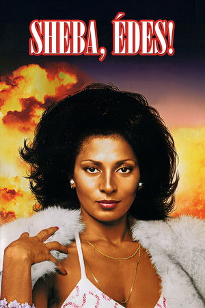 Sheba, édes!