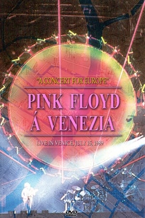 Pink Floyd - Live in Venice poszter