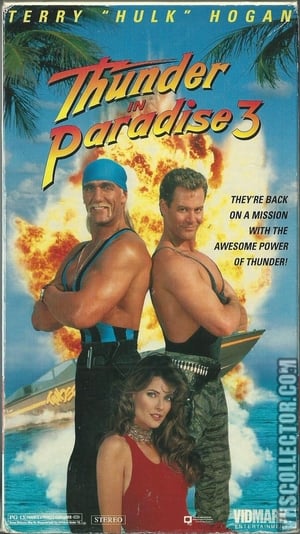 Thunder in Paradise 3 poszter