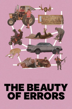 The Beauty of Errors - Kappale kauneinta Suomea poszter
