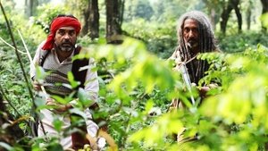 शेरदिल: द पीलीभीत सागा háttérkép