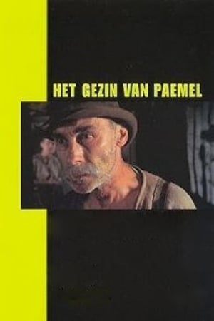 Het gezin van Paemel poszter