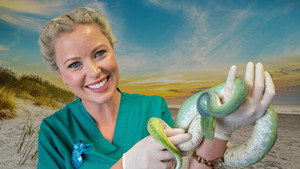 Bondi Vet: Coast to Coast kép