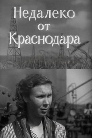 Недалеко от Краснодара