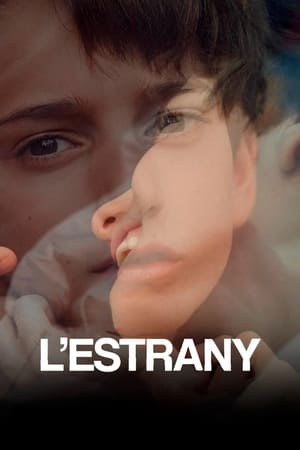 L'estrany