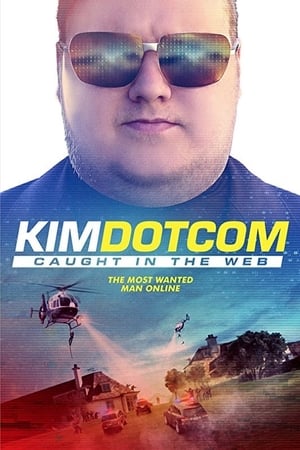 Kim Dotcom: Caught in the Web poszter