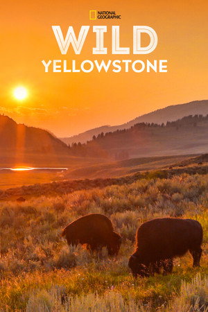 Vad Yellowstone