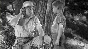 The Andy Griffith Show 3. évad Ep.1 1. epizód