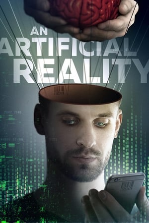 An Artificial Reality