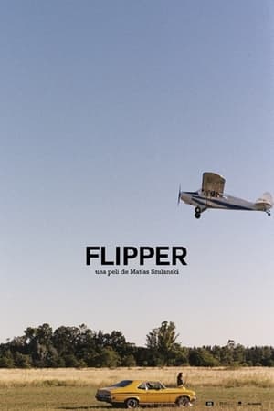 Flipper poszter