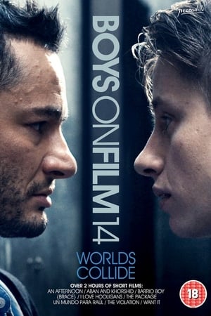 Boys on Film 14: Worlds Collide poszter