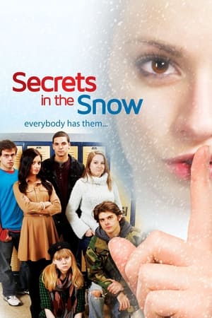 Secrets in the Snow poszter