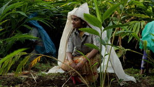மேற்குத்தொடர்ச்சி மலை háttérkép