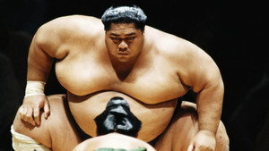 National Geographic: Inside Sumo's Ultimate Clash háttérkép
