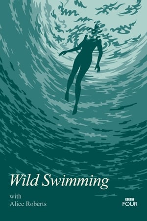 Wild Swimming poszter