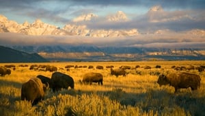 America's National Parks kép