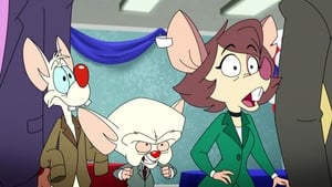 Animaniacs 1. évad Ep.24 24. epizód