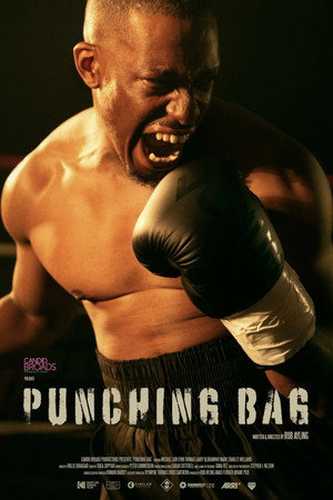 Punching Bag poszter