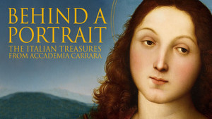 L'Accademia Carrara. Il museo riscoperto háttérkép