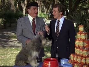 Hart to Hart 2. évad Ep.4 4. epizód