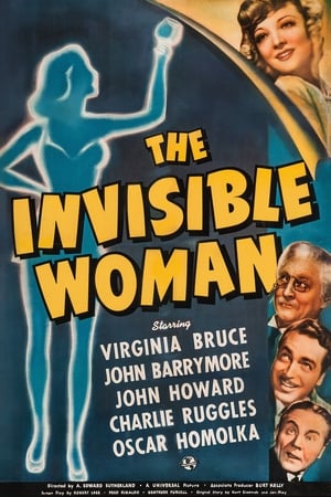 The Invisible Woman poszter