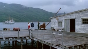 Året gjennom Børfjord háttérkép