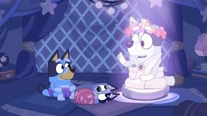 Bluey 1. évad Ep.32 Bumpy és a bölcs, öreg farkaskutya