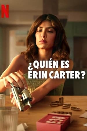 Ki az az Erin Carter? poszter