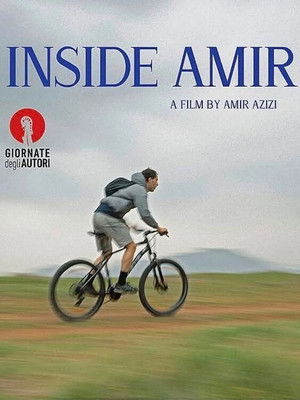درون امیر poszter